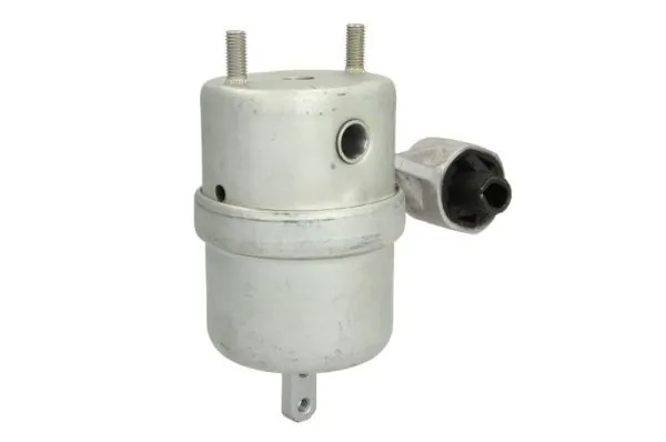 RH120036 Reinhoch Cojín del motor