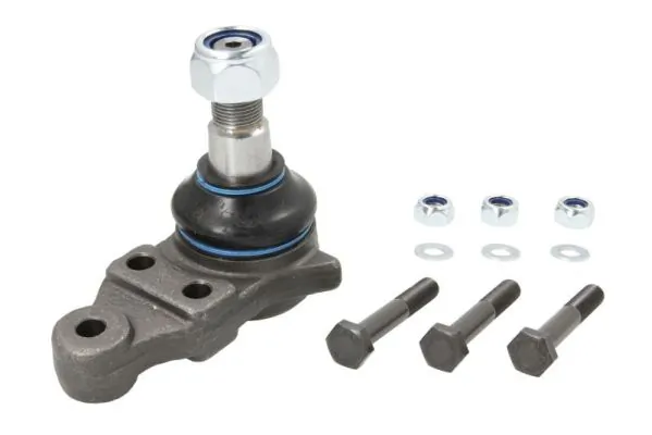RH030019 Reinhoch