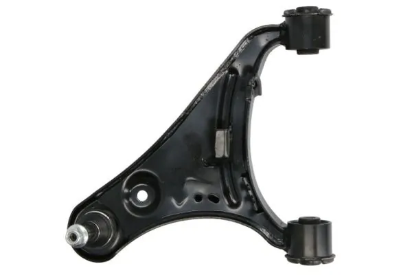 RH045045 Reinhoch
