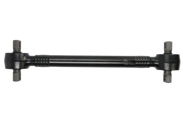 RH538003 Reinhoch
