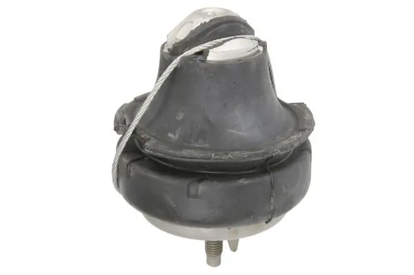 RH114046 Reinhoch