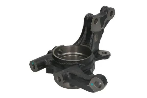 RH087004 Reinhoch