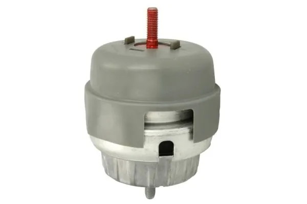 RH110098 Reinhoch