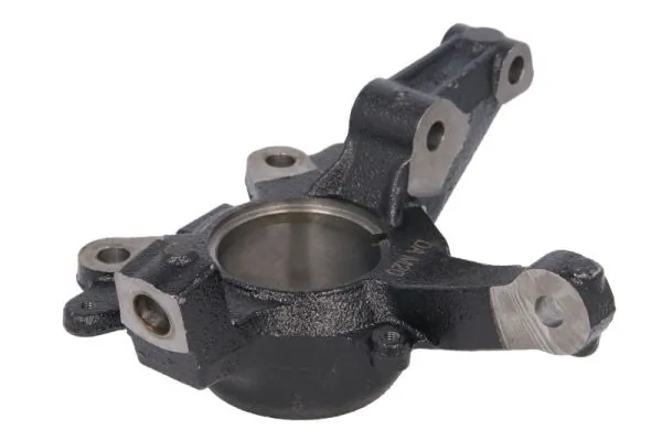 RH081006 Reinhoch