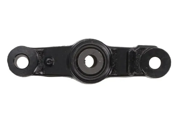 RH076003 Reinhoch