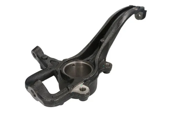 RH080017 Reinhoch