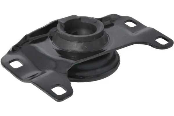 RH124021 Reinhoch