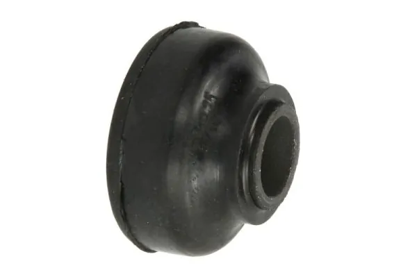 RH141007 Reinhoch