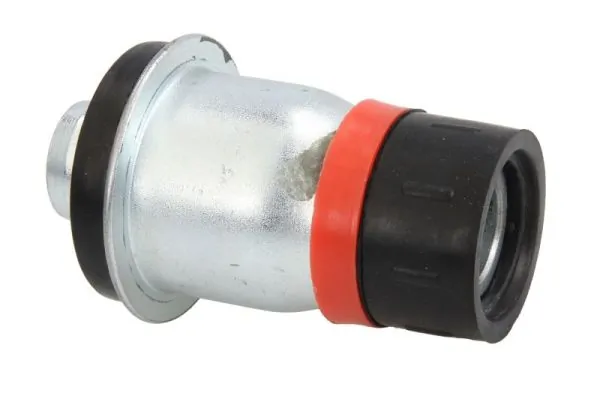RH192003 Reinhoch