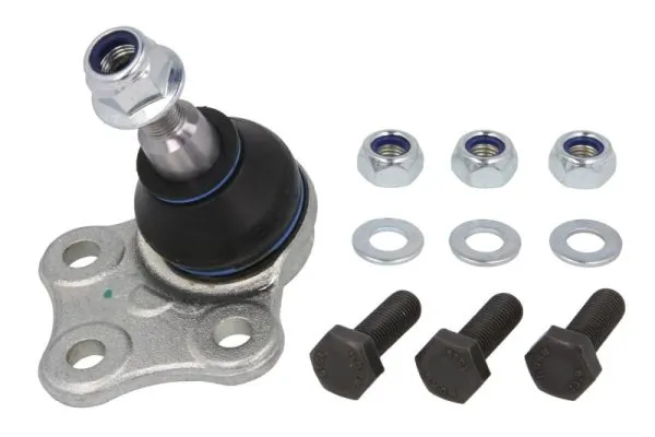 RH032031 Reinhoch