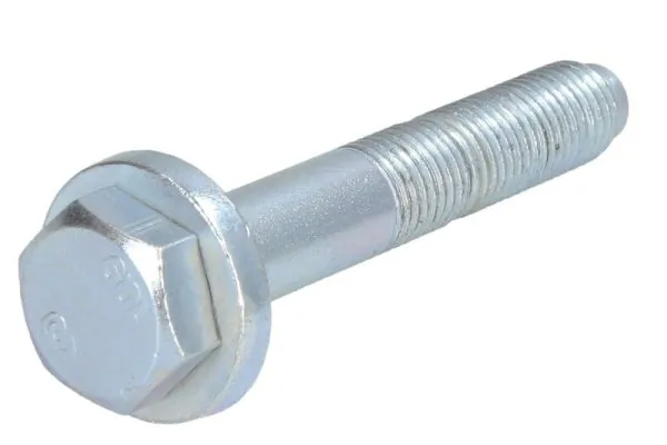 RH140069 Reinhoch