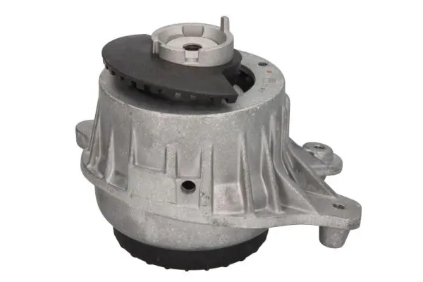 RH113096 Reinhoch