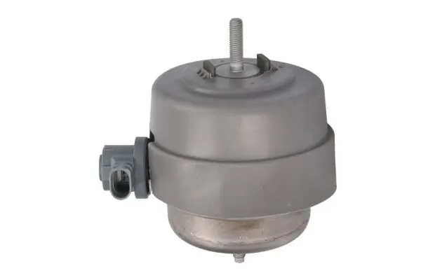 RH110159 Reinhoch