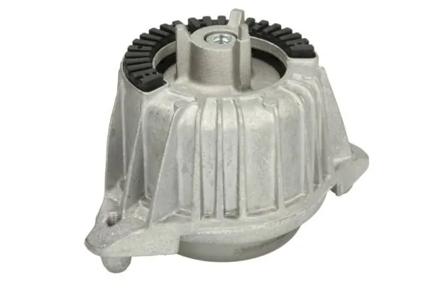 RH113108 Reinhoch