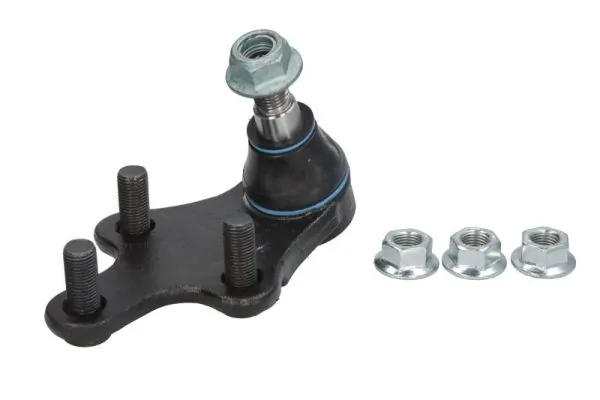 RH032046 Reinhoch