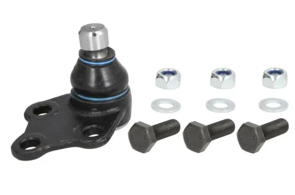 RH033007 Reinhoch