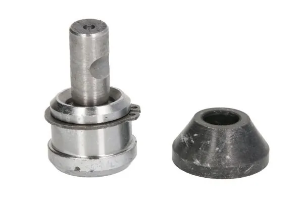 RH036007 Reinhoch