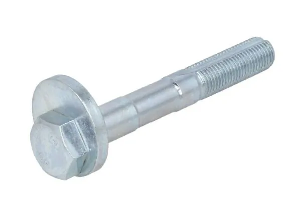 RH150042 Reinhoch