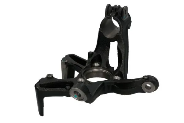 RH080062 Reinhoch