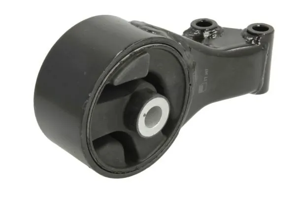 RH111016 Reinhoch