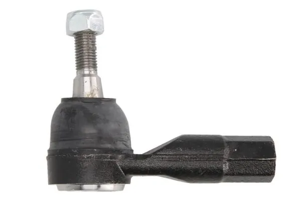 RH016031 Reinhoch