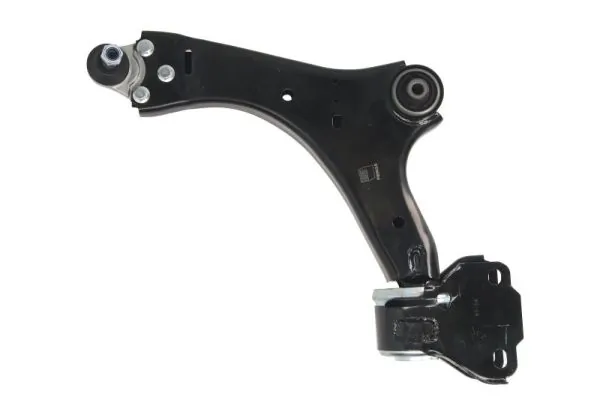 RH045032 Reinhoch