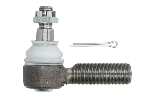 RH527003 Reinhoch