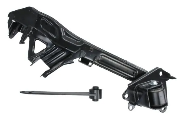 RH051010 Reinhoch