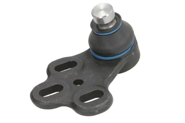 RH030013 Reinhoch