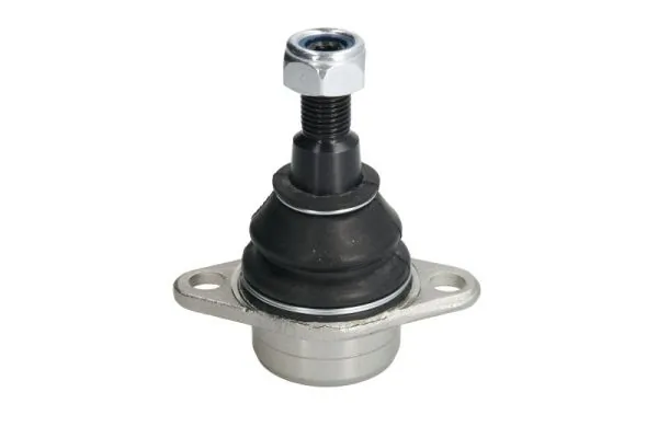 RH035015 Reinhoch