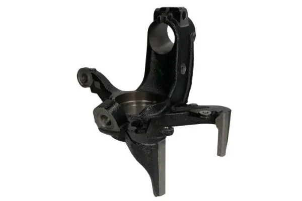 RH080039 Reinhoch