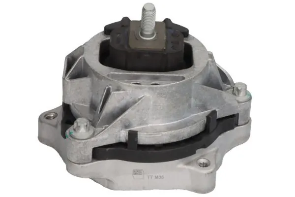 RH113135 Reinhoch