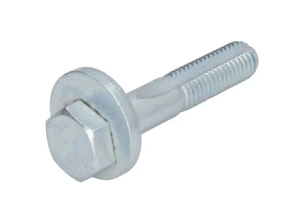 RH154024 Reinhoch