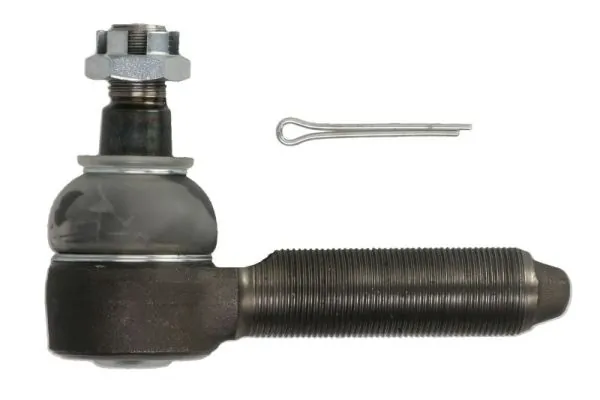 RH528009 Reinhoch
