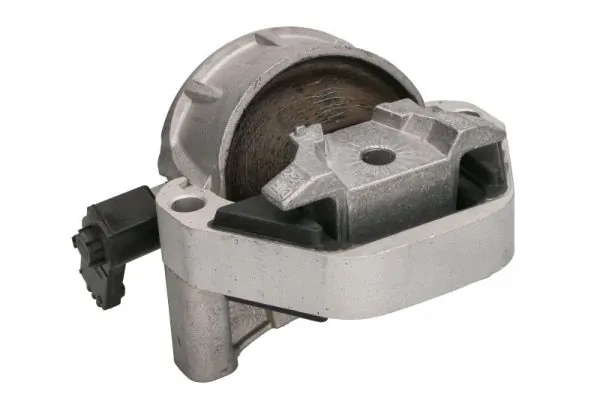 RH110179 Reinhoch