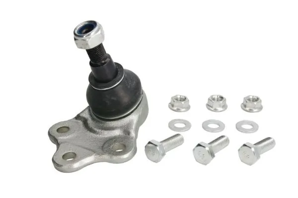 RH035013 Reinhoch
