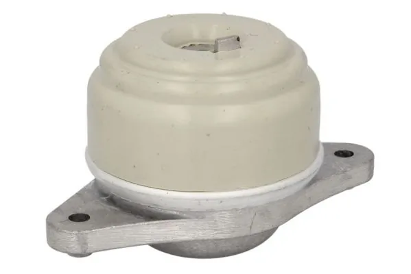 RH113098 Reinhoch