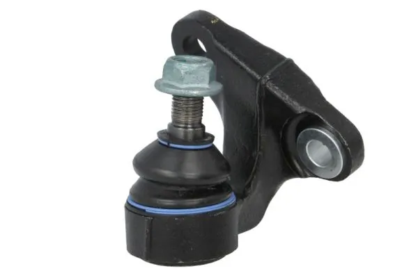 RH033029 Reinhoch