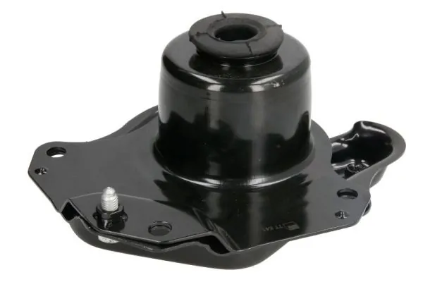 RH110076 Reinhoch
