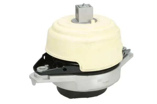 RH113146 Reinhoch