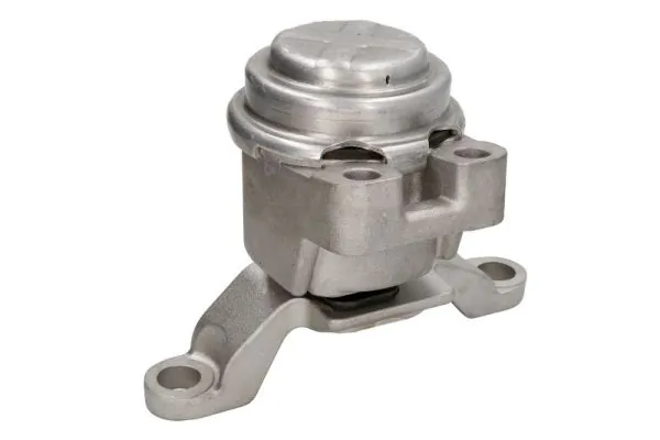 RH114061 Reinhoch