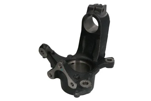 RH082011 Reinhoch