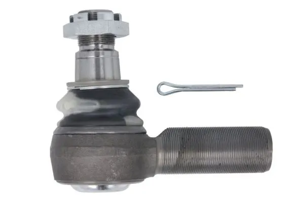 RH523019 Reinhoch