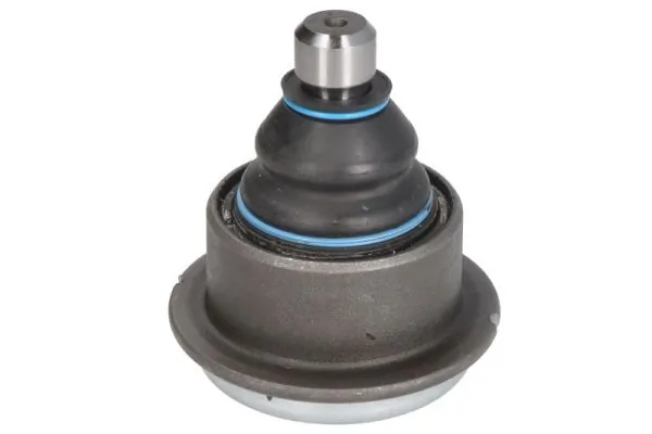 RH036013 Reinhoch