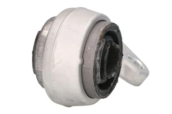 RH143078 Reinhoch