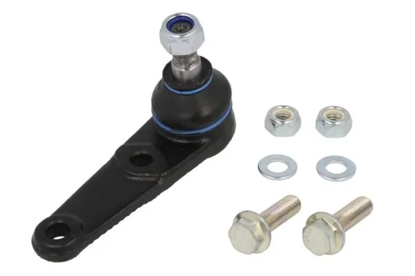 RH034018 Reinhoch