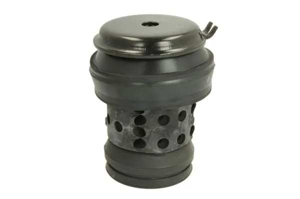 RH110018 Reinhoch