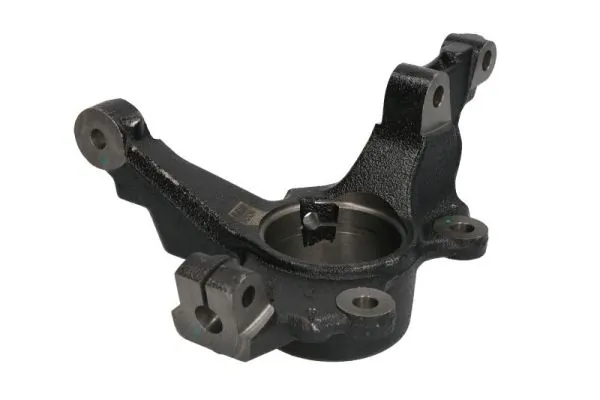 RH085019 Reinhoch