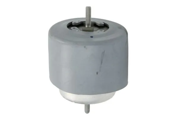 RH110071 Reinhoch