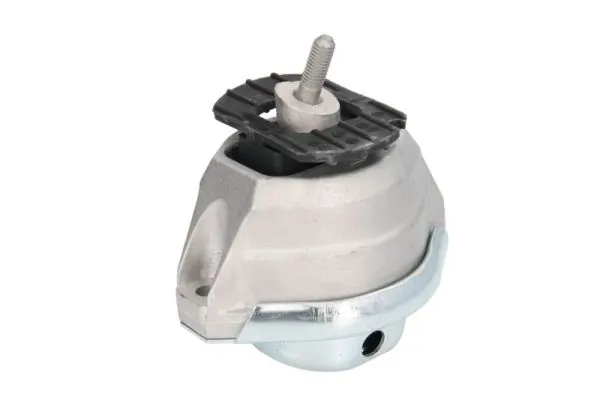 RH113031 Reinhoch